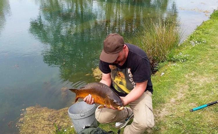 Standard Tent, Les Insolites Du Brochet