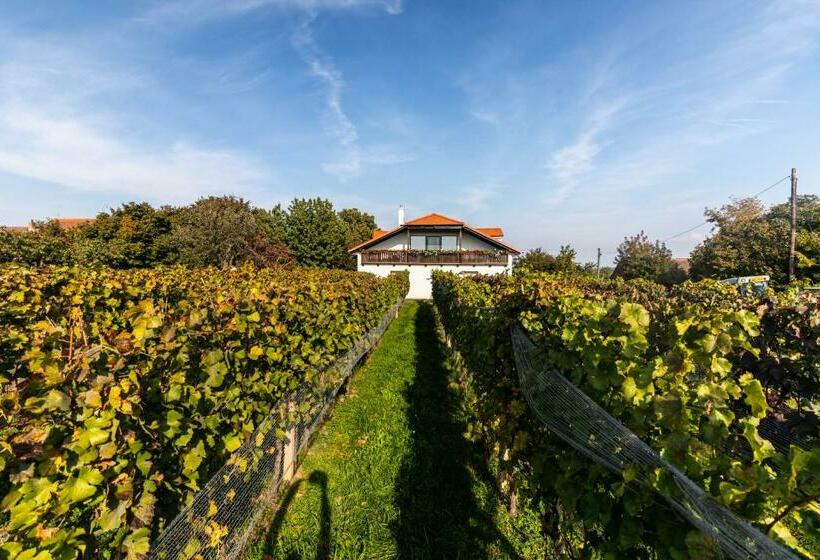 Четырехместный Номер Стандарт, Vinařství Výmola