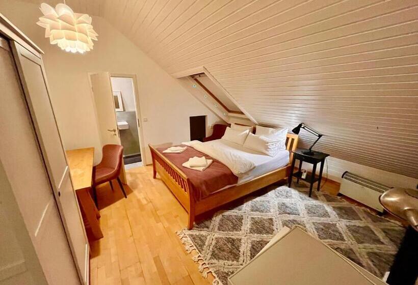 Номер Комфорт, Villa Orchard Frankfurt