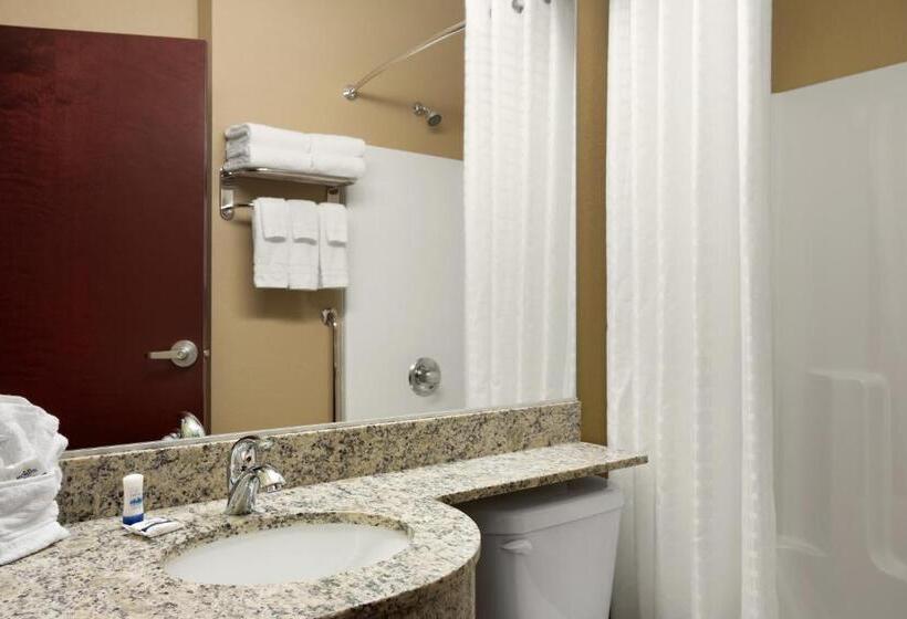 장애인을 위한 스탠다드 룸, Microtel Inn And Suites Carrollton