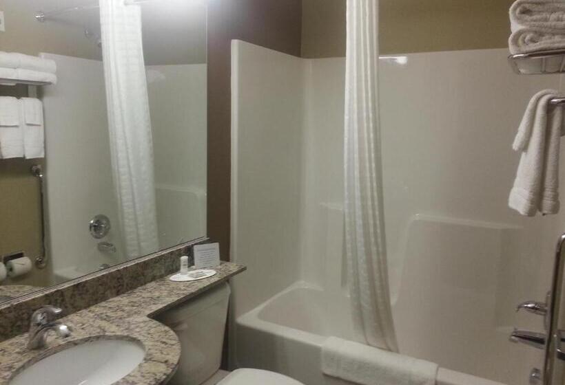 스탠다드 룸, Microtel Inn And Suites Carrollton