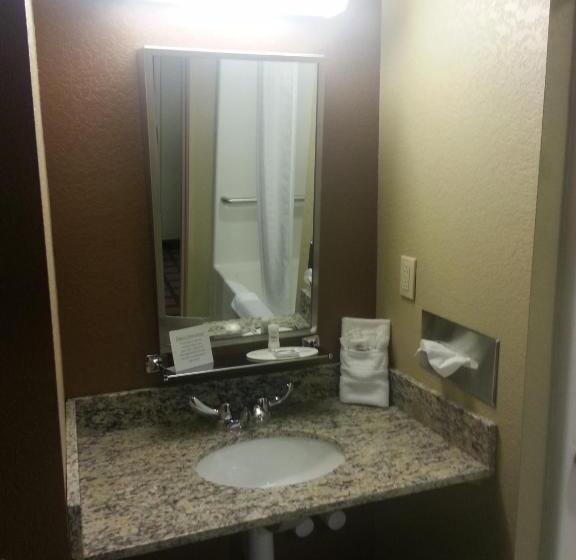 장애인을 위한 스탠다드 룸, Microtel Inn And Suites Carrollton