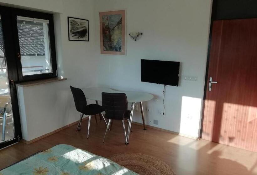 اتاق خانوادگی با چشم‌انداز کوه, Room Panorama