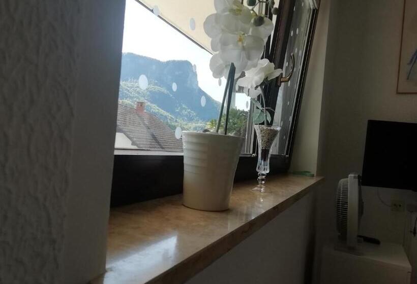 اتاق خانوادگی با چشم‌انداز کوه, Room Panorama