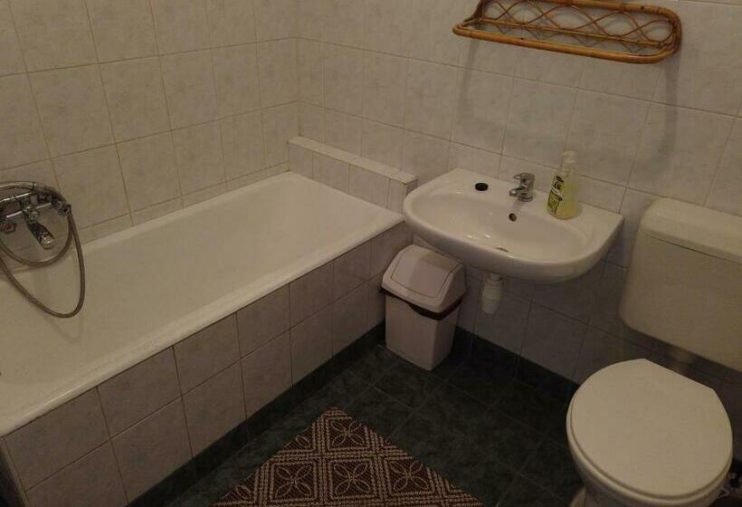 آپارتمان 1 خوابه همکف, Vicze Apartmanház