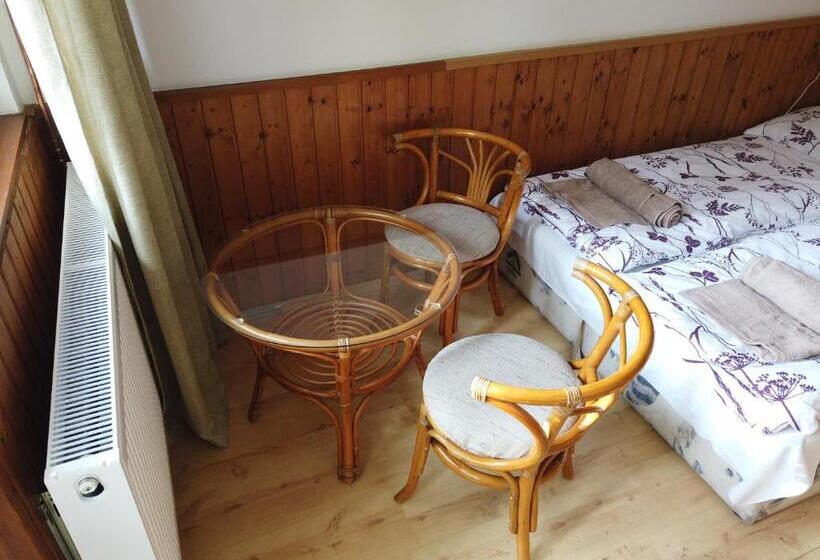 اتاق استاندارد با تراس, Vicze Apartmanház