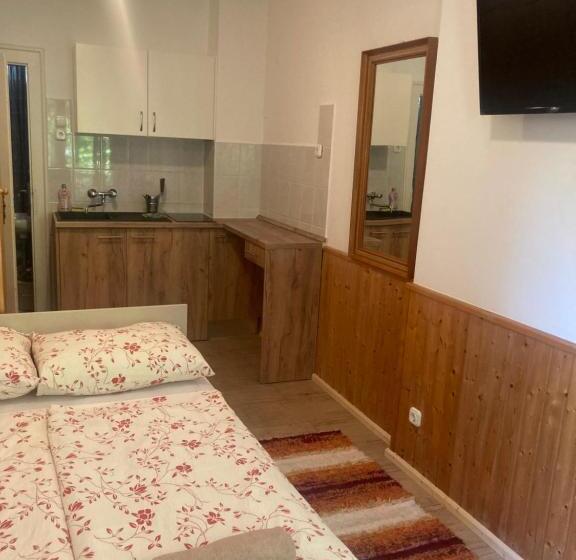 اتاق استاندارد با تراس, Vicze Apartmanház