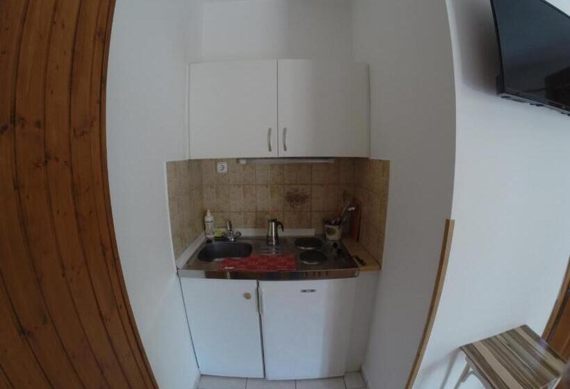 آپارتمان 1 خوابه با چشم‌انداز باغ, Vicze Apartmanház