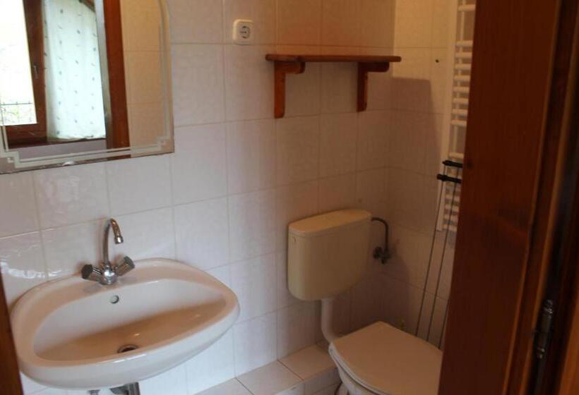 اتاق استاندارد, Vicze Apartmanház