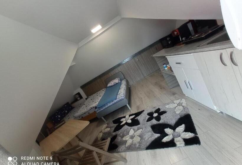 Семейный Номер, Casa Rool