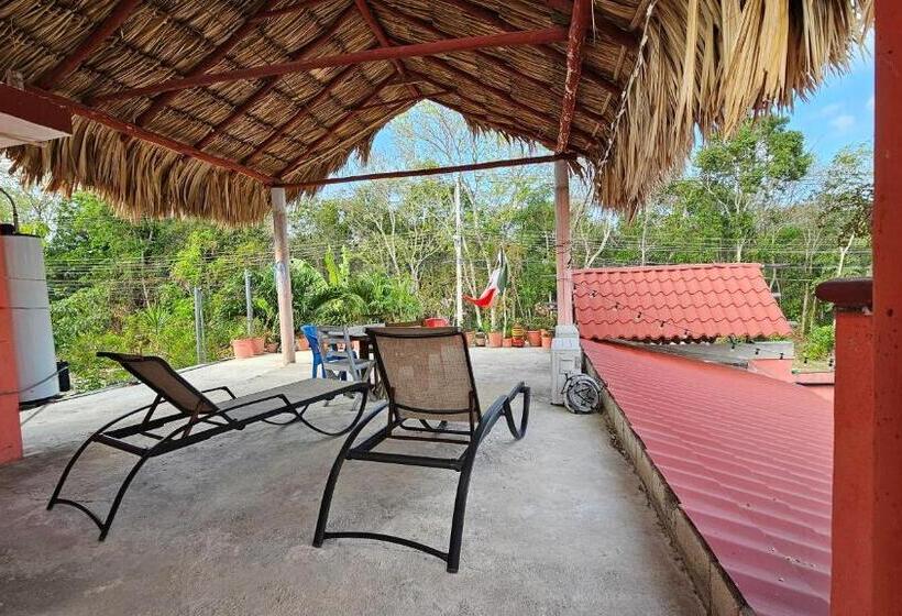 اتاق کلاسیک چهارنفره, Casa Coral