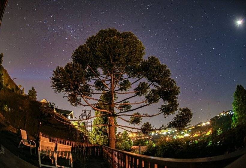 سوییت خانوادگی, Mansao Austriaca Guesthouse