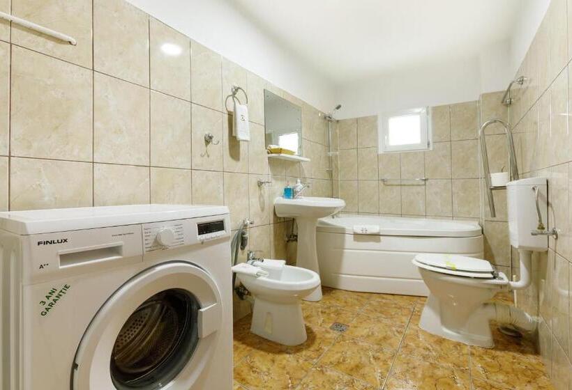 Апартаменты 2 Спальни, Casa Dacică