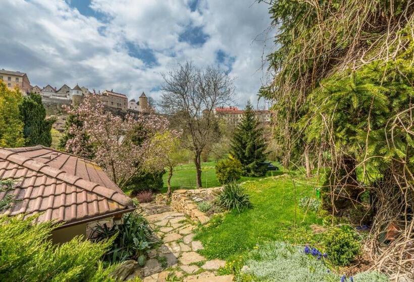 Апартаменты Deluxe 1 Спальня, Penzion Na Hradčanech