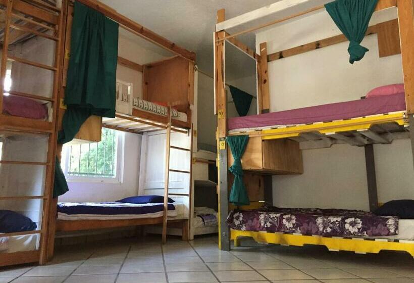 共用房间的床, Ekko Hostel