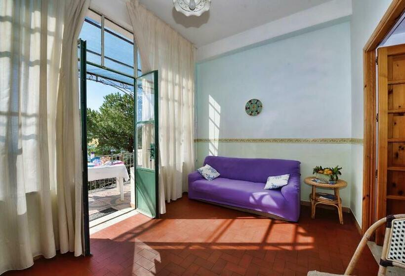 Номер Стандарт, B&b Iris