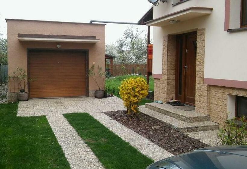 Номер Стандарт, Apartment Alta