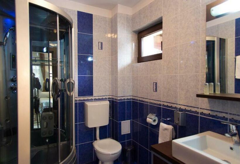 Номер Стандарт, Pension Casa Sara