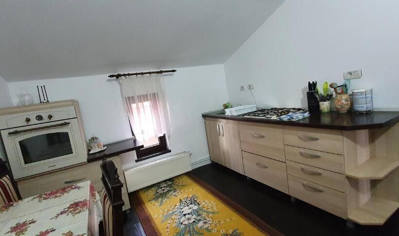 Suite with Terrace, Pensiunea Orhideea