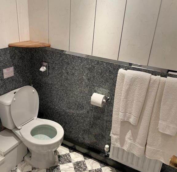 Quarto Standard para Deficientes, Bron Menai Guest House
