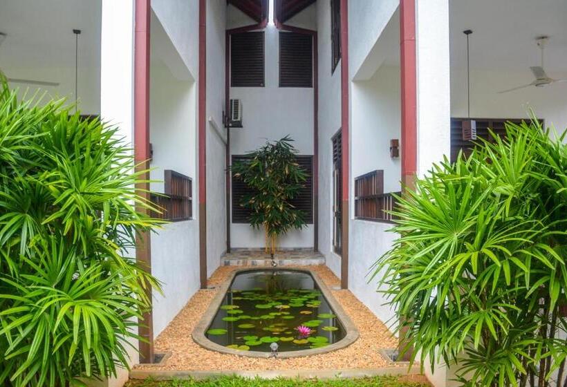 Трехместный Номер Стандарт Вид на Бассейн, Goyambokka Guesthouse