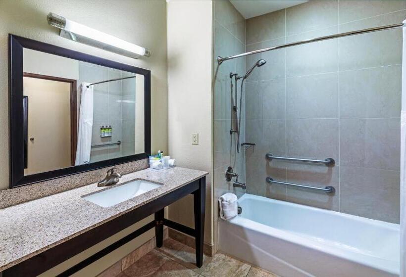 Номер Стандарт Кровать Кинг Адаптированный для Инвалидов, Holiday Inn Express & Suites Floresville By Ihg