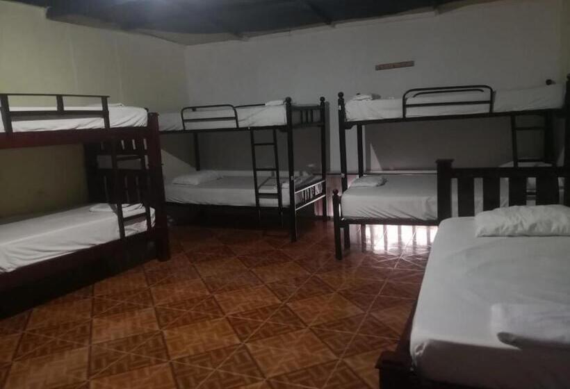 Кровать в Общей Комнате, Casa Hostal Luna Llena