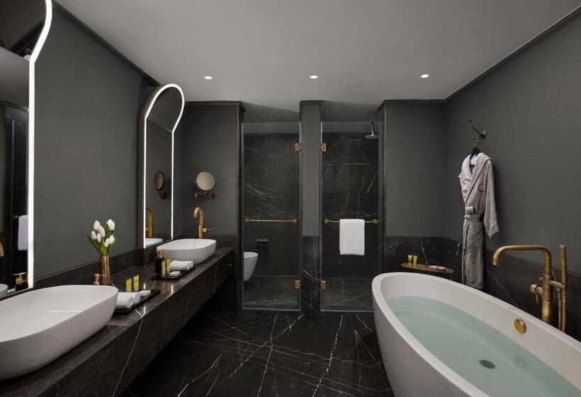 سوییت, Hyatt Centric Sector 17 Chandigarh