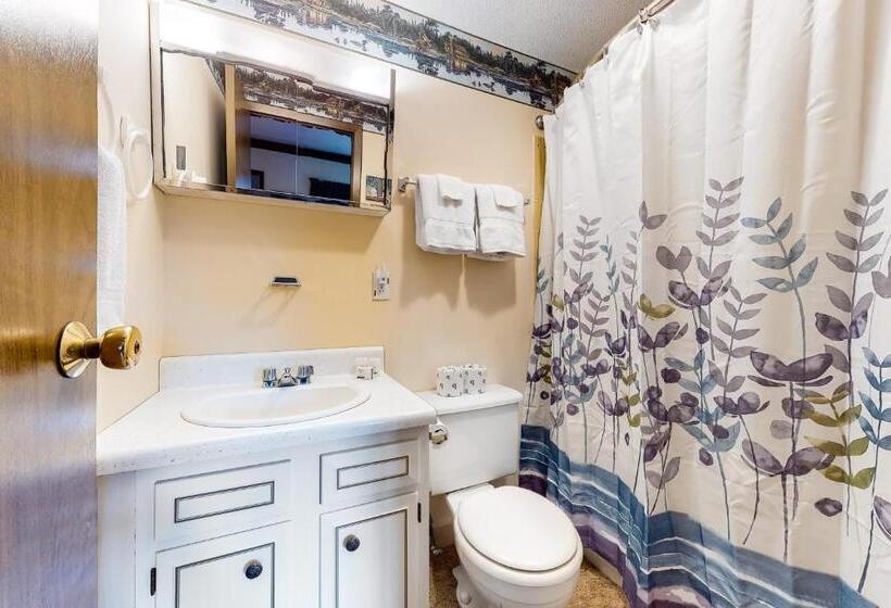 침실 1개 아파트, Squaw Village Condo