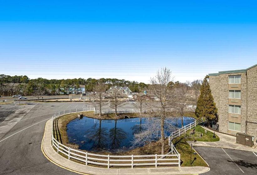 Студия Стандарт, Bethany Beach Inn   202 Bethany Beach Inn
