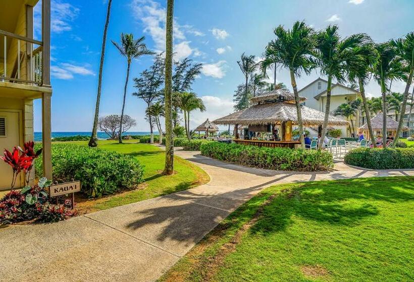 스탠다드 스튜디오, Islander On The Beach 361