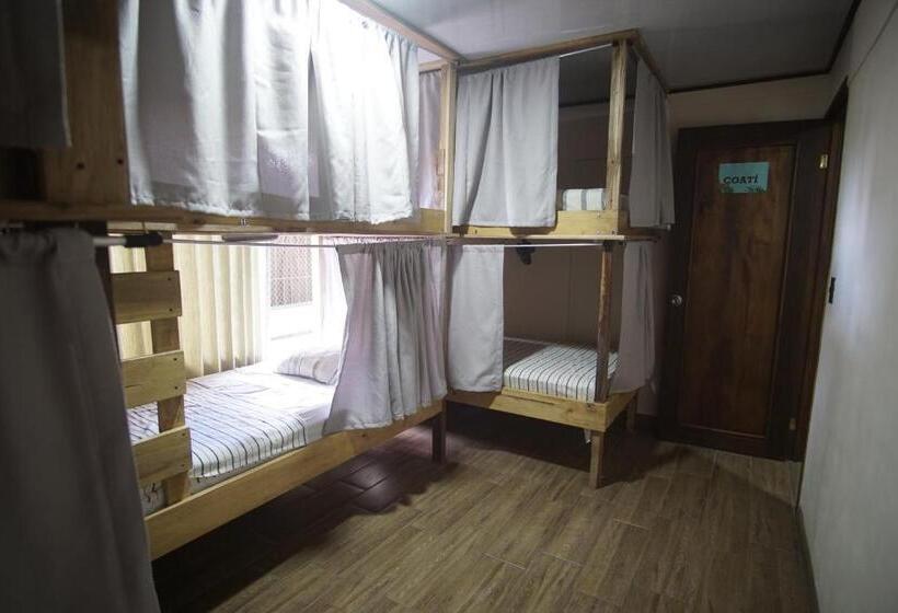 공동 객실, Argdivan Hostel