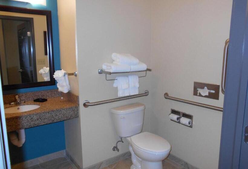 스탠다드 룸 킹사이즈 침대, Best Western Plus Patterson Park Inn