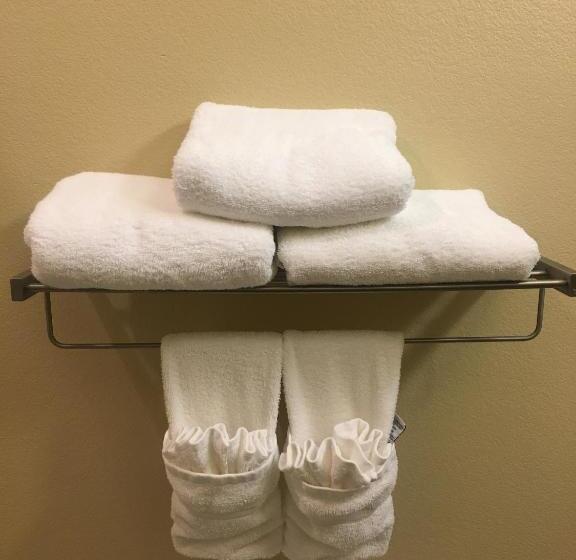 장애인을 위한 스위트, Best Western Plus Patterson Park Inn
