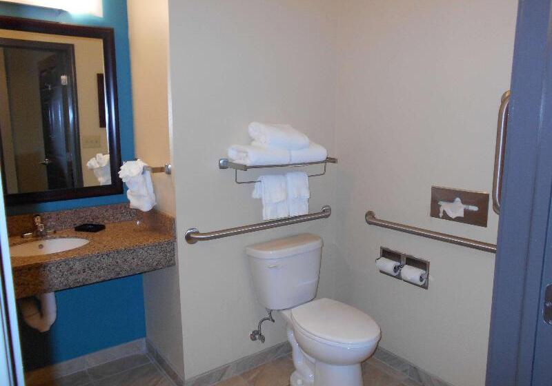 스위트 킹사이즈 침대, Best Western Plus Patterson Park Inn