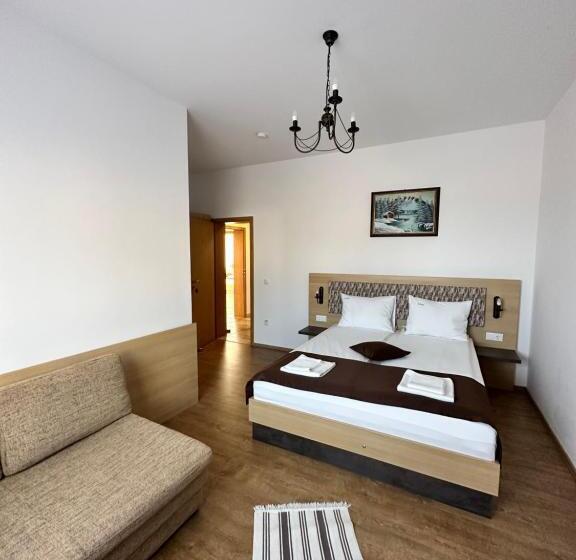 اتاق استاندارد, Vila Paltinis