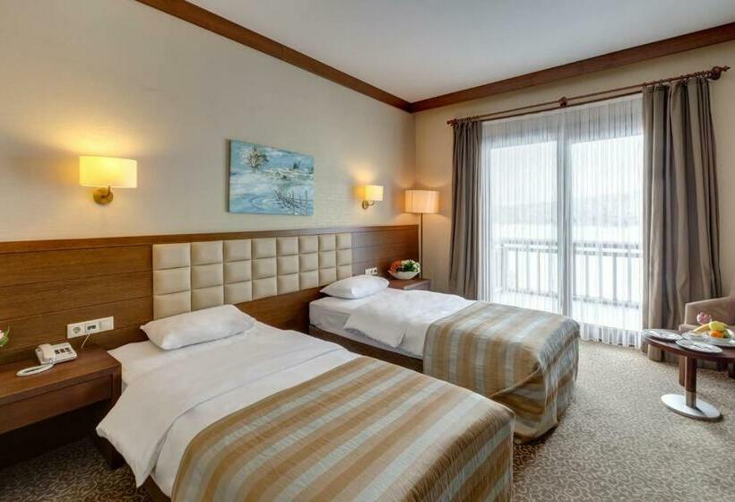 Номер Стандарт Вид на Горы, Fenerbahçe Serkan Acar Resort&sports Topuk Yaylası
