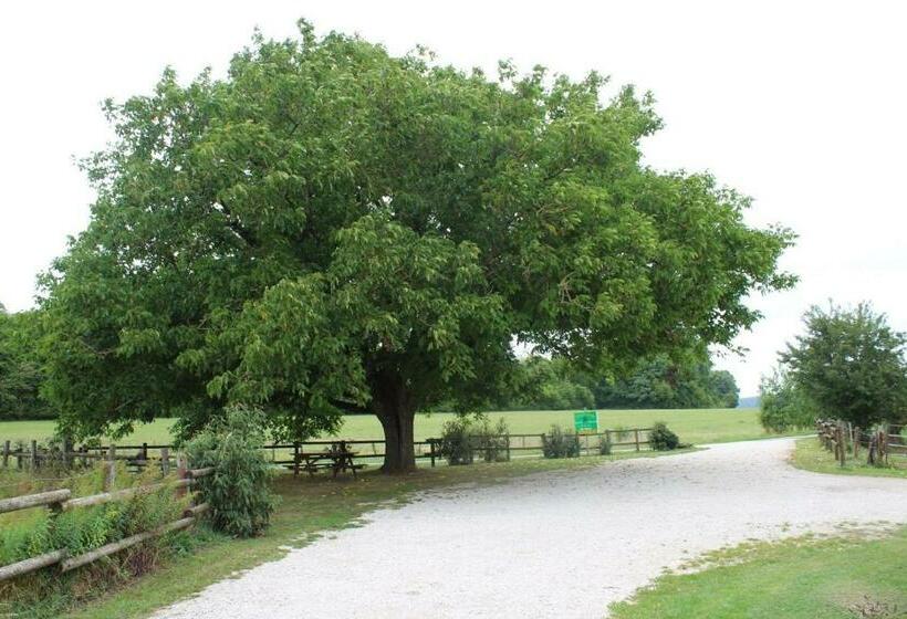 Номер Стандарт Совместная Ванная, Ferme Des Champs