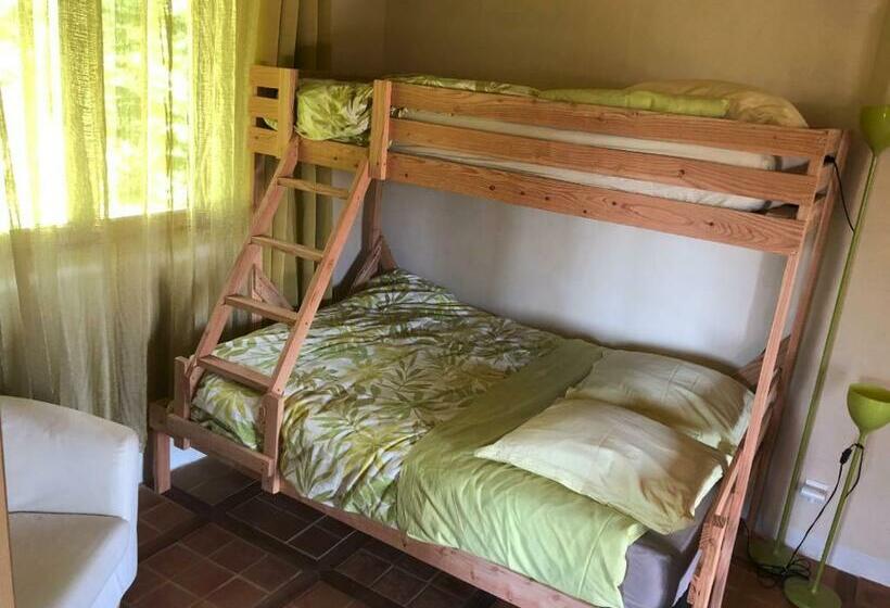 Номер Стандарт, Chambre D Hôtes De Paille Et D Argile