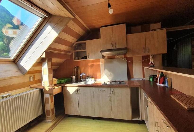 Апартаменты 1 Спальня с Балконом, Casa Petruta Dambovicioara