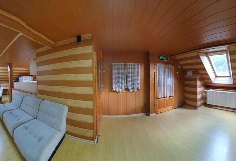 Апартаменты 1 Спальня с Балконом, Casa Petruta Dambovicioara