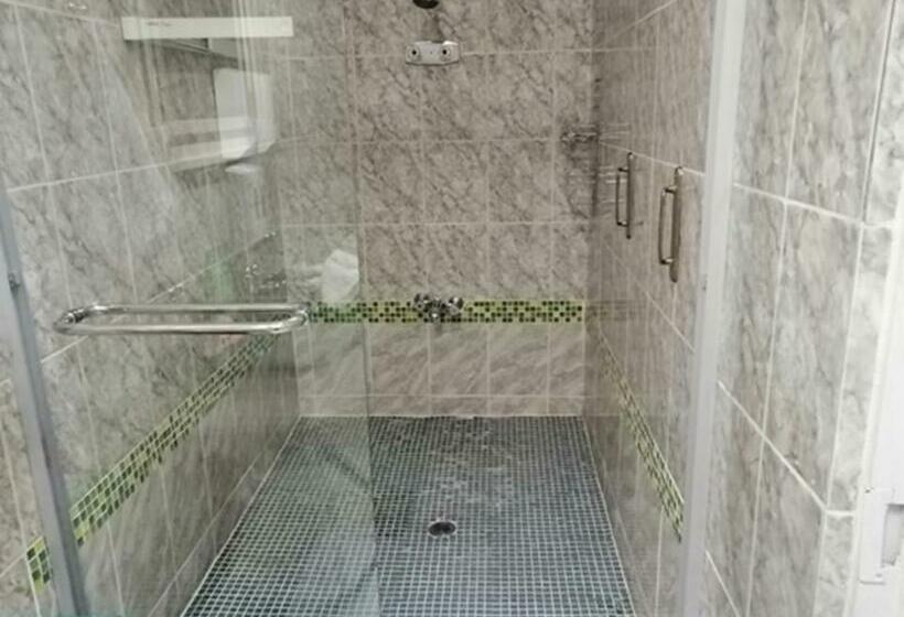 إستوديو قياسى سرير كينج, Lenasia Guest Lodge