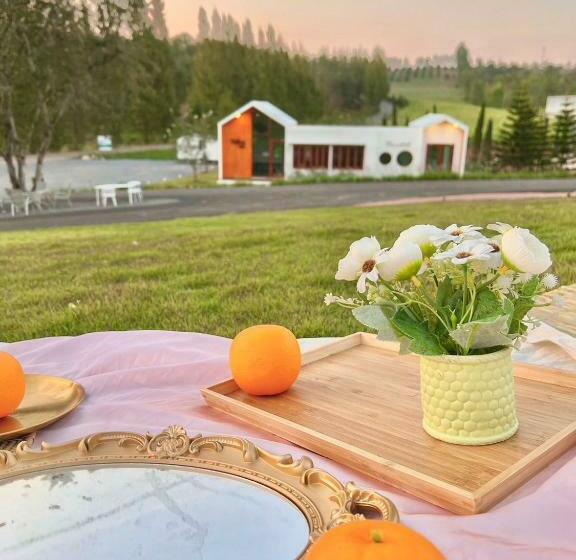 Номер Deluxe с Балконом, Sol Glamping At Khao Yai