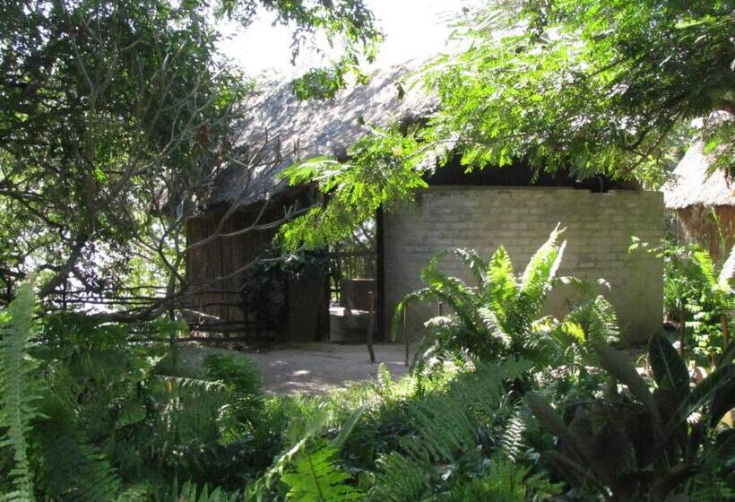 اتاق استاندارد, Caprivi Houseboat Safari Lodge