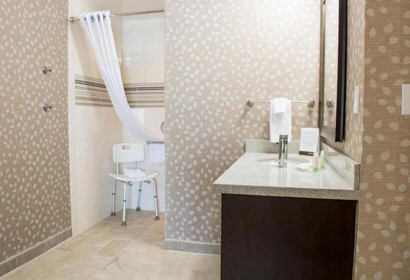 استودیوی استاندارد, Staybridge Suites Chihuahua, An Ihg