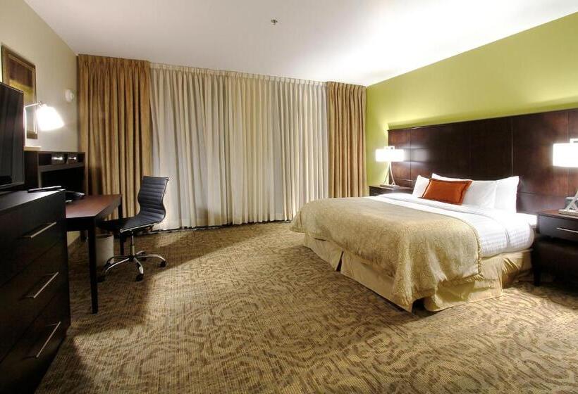 سوئیت 2 خوابه, Staybridge Suites Chihuahua, An Ihg