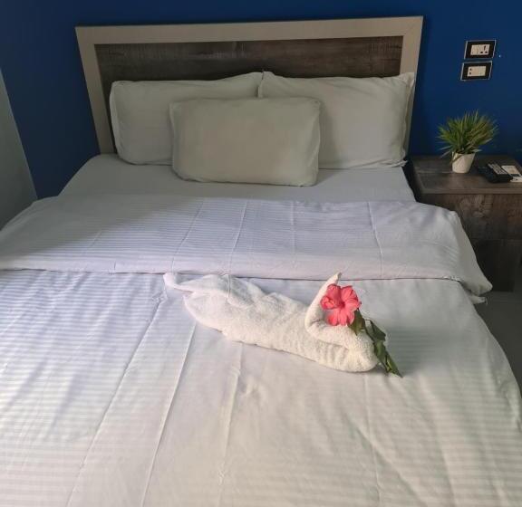 اتاق استاندارد یک نفره, The Australian Hostel