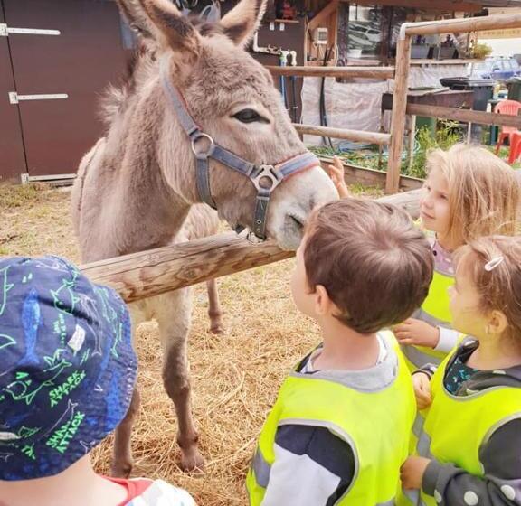 Шале 1 Спальня, Hobby Land Ranch Horse S Barn Guesthouse