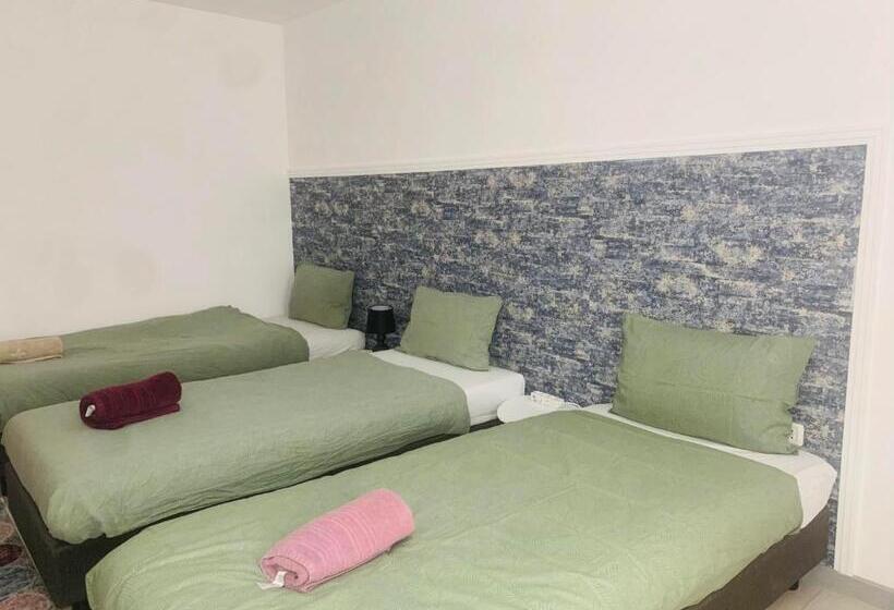 스탠다드 트리플 룸, Pensiunea Bozi Timisoara