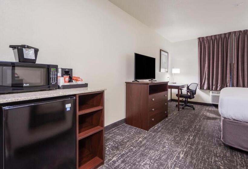 스탠다드 룸 킹사이즈 침대, Cobblestone Inn & Suites  Fremont